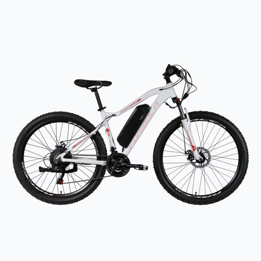 Formula eALPINA 27.5"