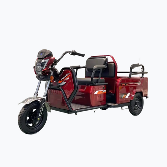 Tricicletă Electrică M17