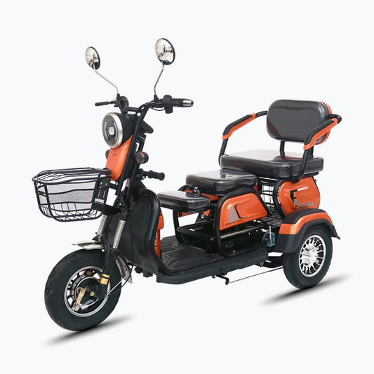 Tricicletă Electrică M20