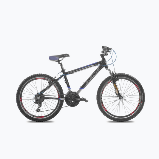SILVER BIKE 24'