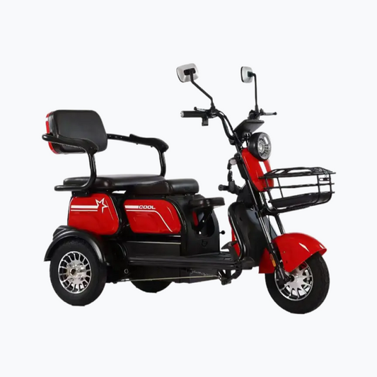 Tricicletă Electrică X3