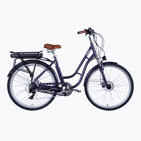 Dorozhnik eCORAL 28"