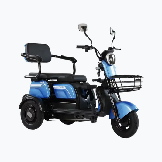 Tricicletă Electrică X3
