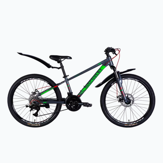 Discovery QUBE 24"